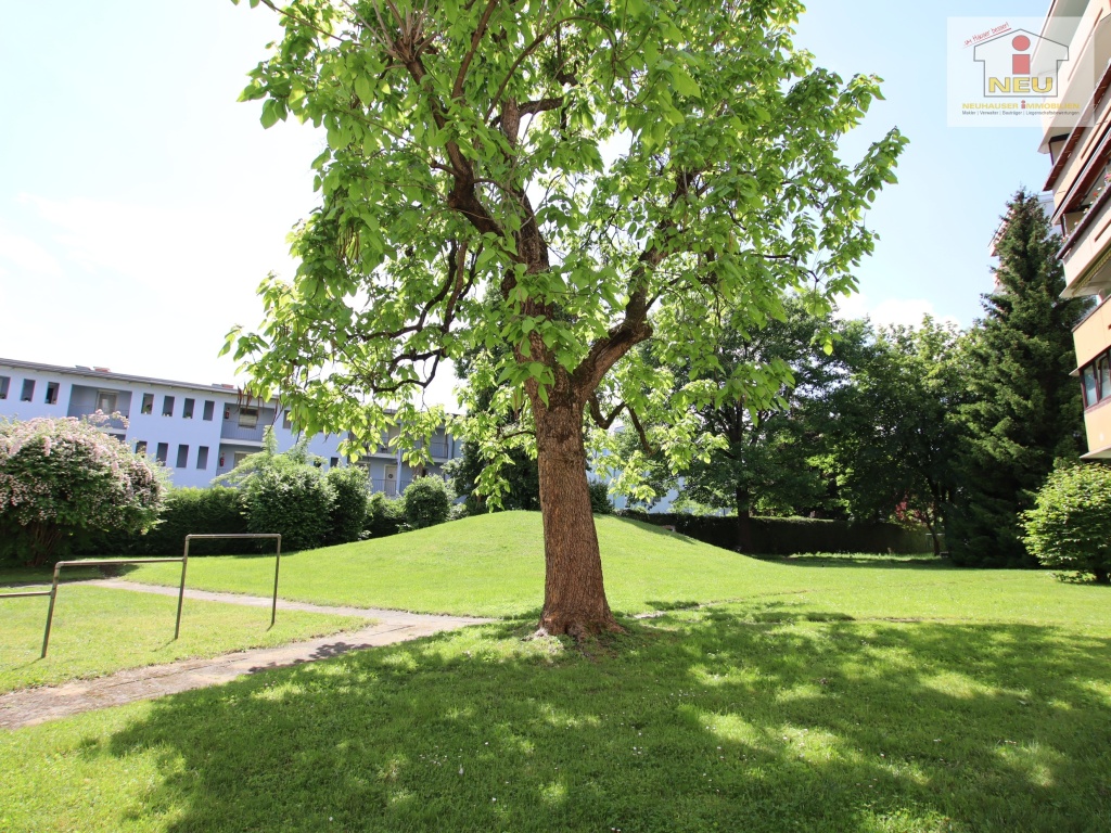 Zimmer netten SOFORT - 3 Zi Wohnung in Waidmannsdorf in der Lodengasse - Penthouse in Super Aussichtslage